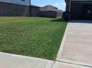 Dominic C.'s lawn maintenance service result