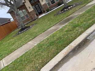 Keith P.'s grass cutting service result