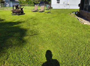 Marie S.'s grass maintenance service result