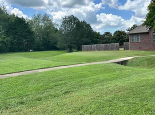 Sean N.'s grass cutting service result