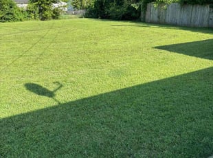 Brian W.'s lawn care services service result