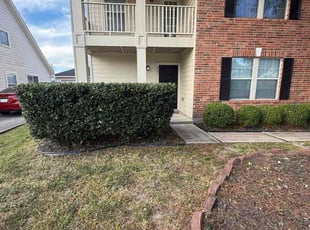 Michael L.'s Bush Trimming service result