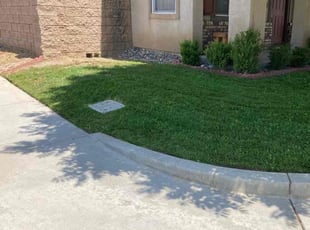 Christal T.'s lawn care services service result