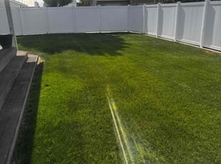 Daniel E.'s grass cutting service result