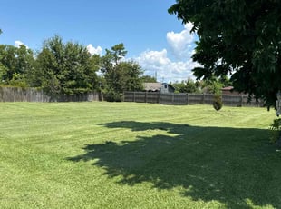 Alexandria R.'s lawn care service result