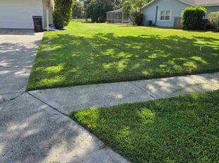 Chris M.'s lawn service service result