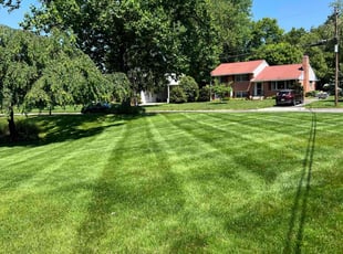 Mugdha W.'s lawn care service result