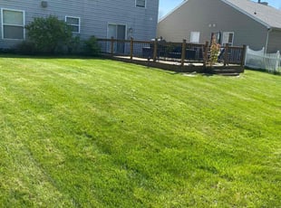 Jayson M.'s lawn care service result