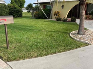 Lisa M.'s grass maintenance service result