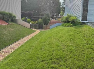 Bryan M.'s turf care service result