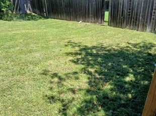 Andrea J.'s lawn care services service result