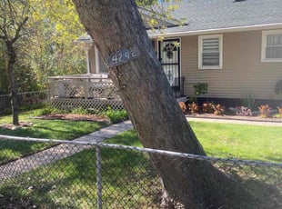 Davonti M.'s turf maintenance service result