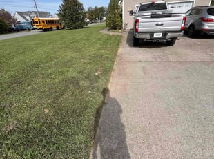 Olga B.'s turf care service result