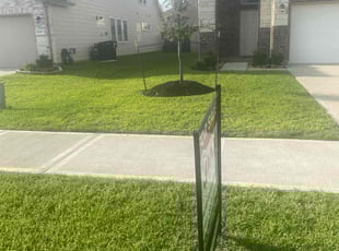 Nicci F.'s gardening service service result