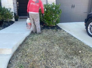 Dana B.'s grass maintenance service result