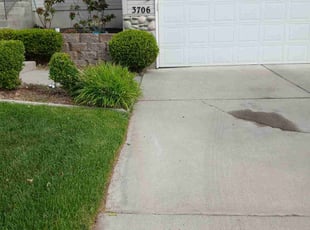 Kimberly S.'s grass maintenance service result