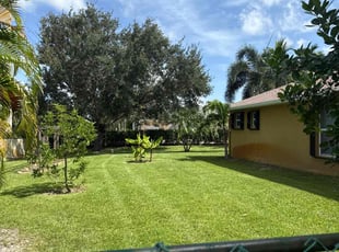 Angie S.'s lawn service service result
