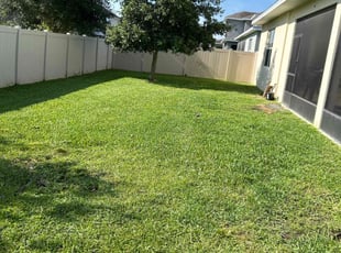 Dominique O.'s lawn service service result