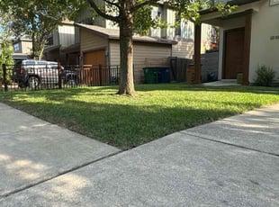 Bill F.'s grass maintenance service result