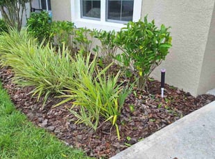 James M.'s Bush Trimming service result