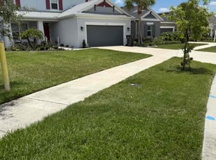 Janet B.'s turf care service result