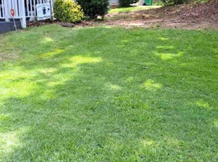 Kathleen W.'s yard work service result