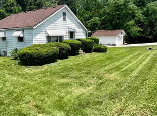 Mohammed Q.'s Bush Trimming service result