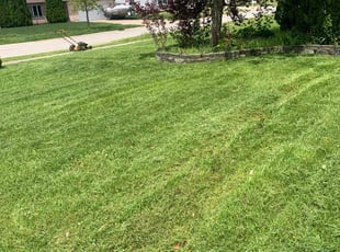 Tiffany C.'s lawn service service result