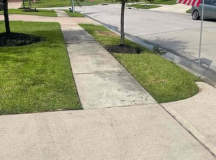 Orlando O.'s turf care service result