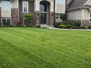 Michael H.'s grass cutting service result