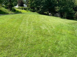 Wilfried F.'s turf maintenance service result