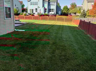 Philip B.'s lawn care services service result