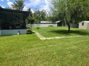 Paul M.'s lawn care service result