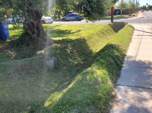 Danielle W.'s lawn service service result