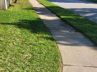 Angela W.'s turf care service result