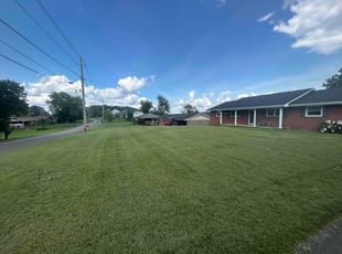 Alex P.'s lawn maintenance service result