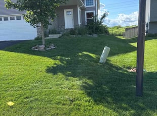 Chris B.'s landscaping service result