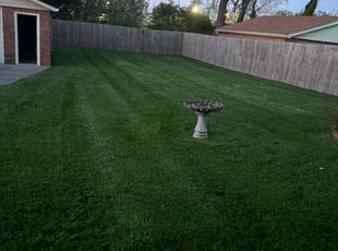Deena G.'s lawn maintenance service result
