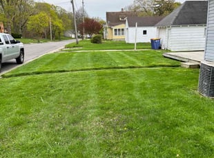 Matthew S.'s grass cutting service result