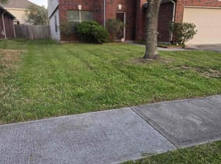 Robyn A.'s Long Grass Cleanup service result