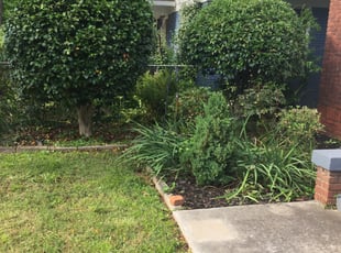 Brenda H.'s Bush Trimming service result