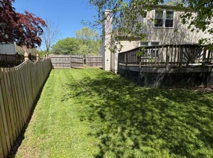 Jose R.'s grass cutting service result