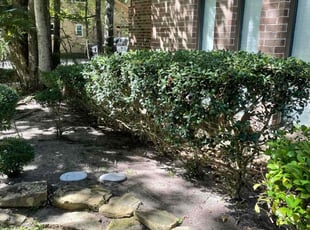 Nazarena F.'s Bush Trimming service result