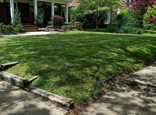 Ashton S.'s grass cutting service result