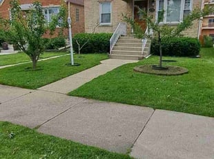 Max H.'s lawn maintenance service result