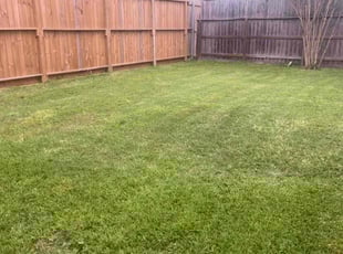 James M.'s turf maintenance service result