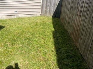 Naomi C.'s lawn care services service result