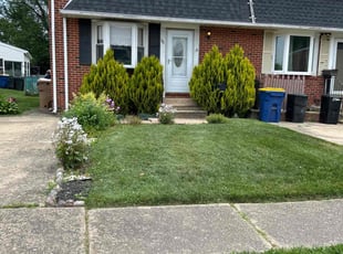 Tamika C.'s lawn care service result