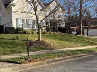 Aziz G.'s Leaf Removal service result