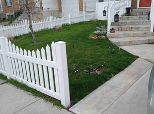 Michael K.'s grass maintenance service result